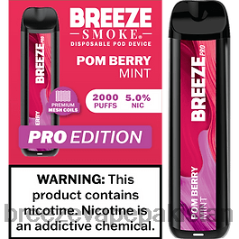 Breeze Vape Amazon - Breeze Pro 2000 پف VVFPL17 پوم بیری پودینہ
