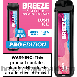 Breeze Vape Near Me - Breeze Pro 2000 پف VVFPL22 سرسبز برف